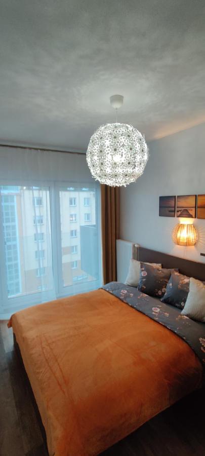 Apartmán Zebra Vratislav Exteriér fotografie